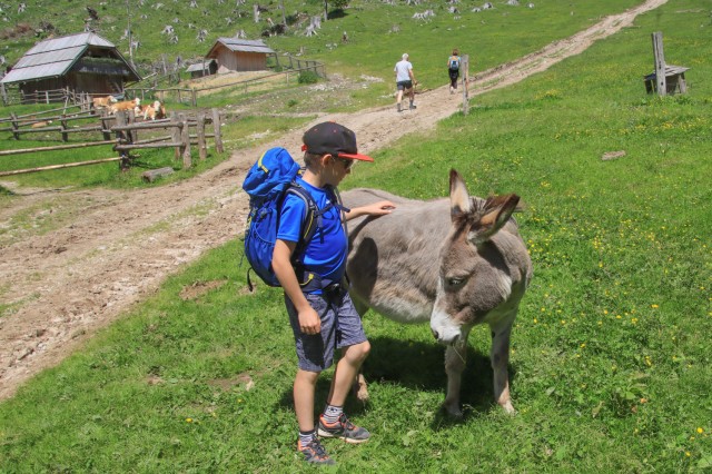 2022_06_12 Tolsta Košuta ( 2057 m )  - foto