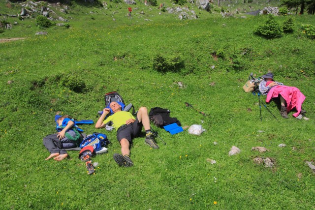 2022_06_12 Tolsta Košuta ( 2057 m )  - foto
