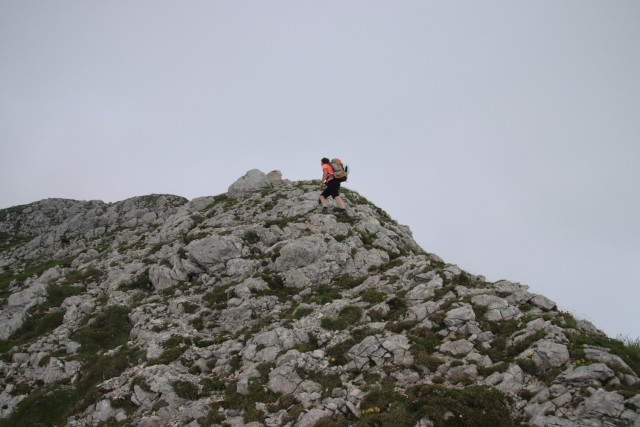 2022_06_26 Vogel in Vrh nad Škrbino - foto