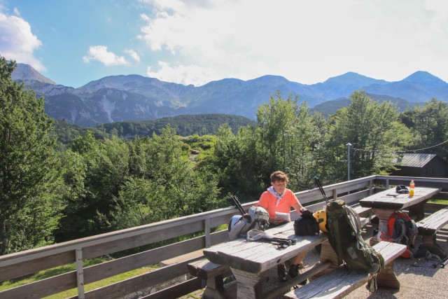 2022_06_26 Vogel in Vrh nad Škrbino - foto