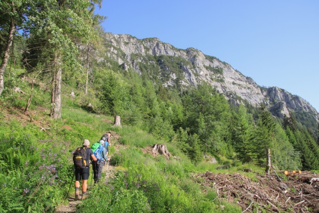 2022_06_28 Pristovški Storžič  - foto