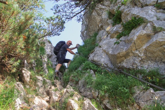 2022_06_28 Pristovški Storžič  - foto