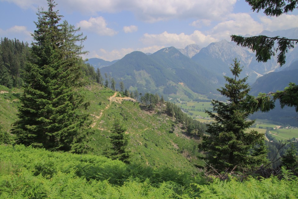 2022_06_28 Pristovški Storžič  - foto povečava