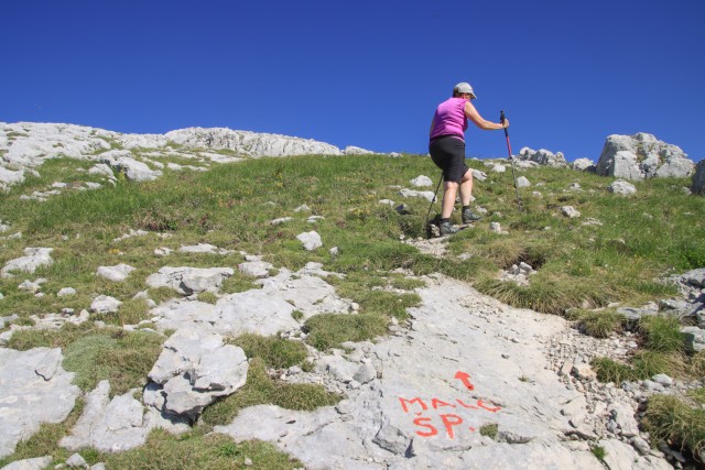 2022_07_03 Malo Špičje ( 2312 m ) - foto