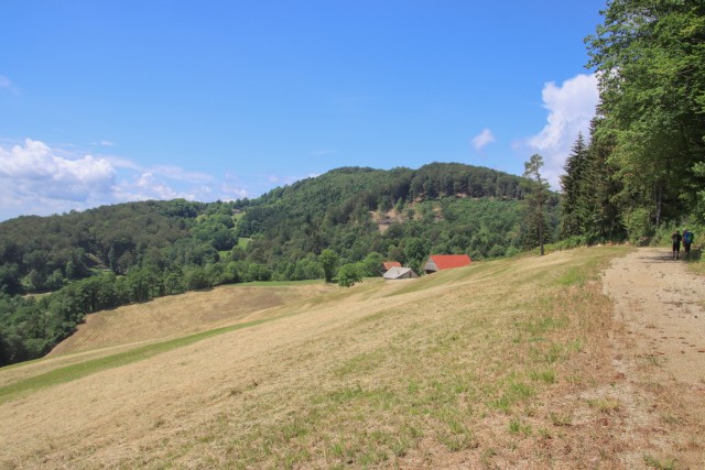 2022_07_05 Veliko Kozje ( 993 m ) - foto