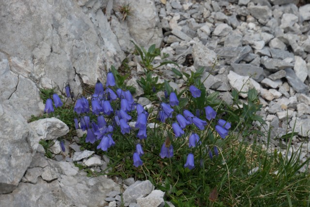 2022_07_12 Storžič skozi Žrelo - foto