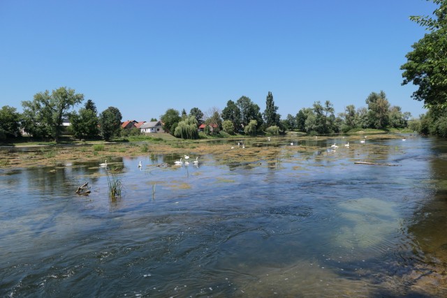 2022_07_16 Kostanjevica na Krki - foto