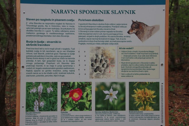 2022_08_23 Slavnik ( 1028 m ) - foto