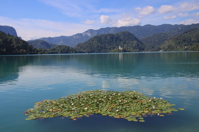 2022_09_03 Zelenci in Bled - foto