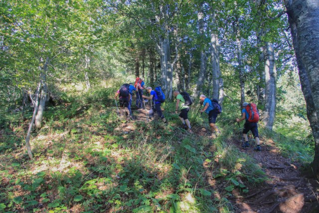 2022_09_06 Vrh Ljubeljščice ( 1704 m )  - foto