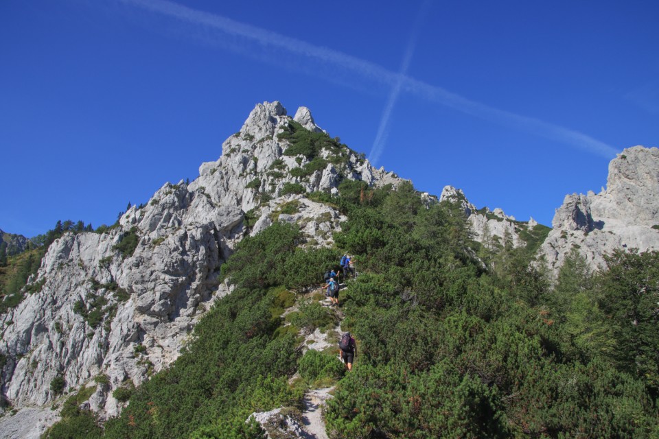 2022_09_06 Vrh Ljubeljščice ( 1704 m )  - foto povečava