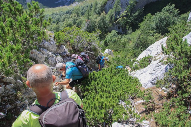 2022_09_06 Vrh Ljubeljščice ( 1704 m )  - foto