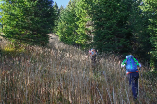 2022_10_02 Jerebičje ( 1762 m )  - foto