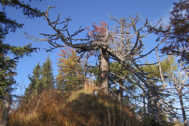 2022_10_02 Jerebičje ( 1762 m )  - foto