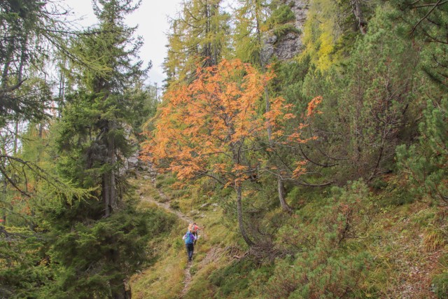 2022_10_02 Jerebičje ( 1762 m )  - foto