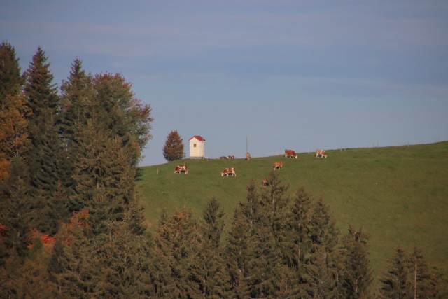 2022_10_04 Črni vrh ( 1543 m ) - foto