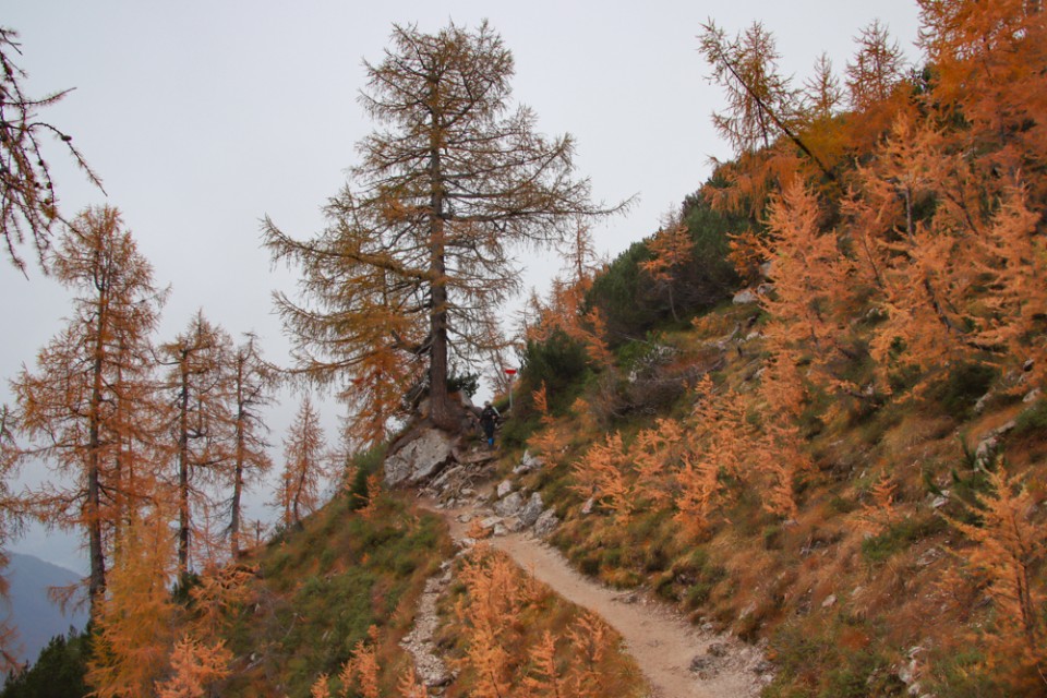 2022_10_12 Slemenova špica ( 1911 m ) - foto povečava