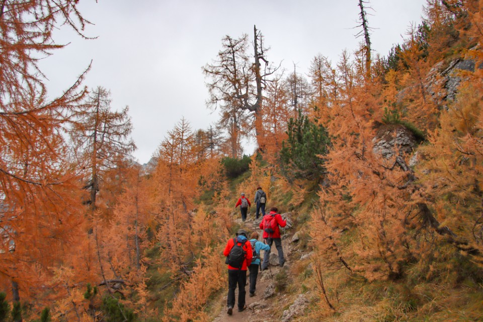 2022_10_12 Slemenova špica ( 1911 m ) - foto povečava