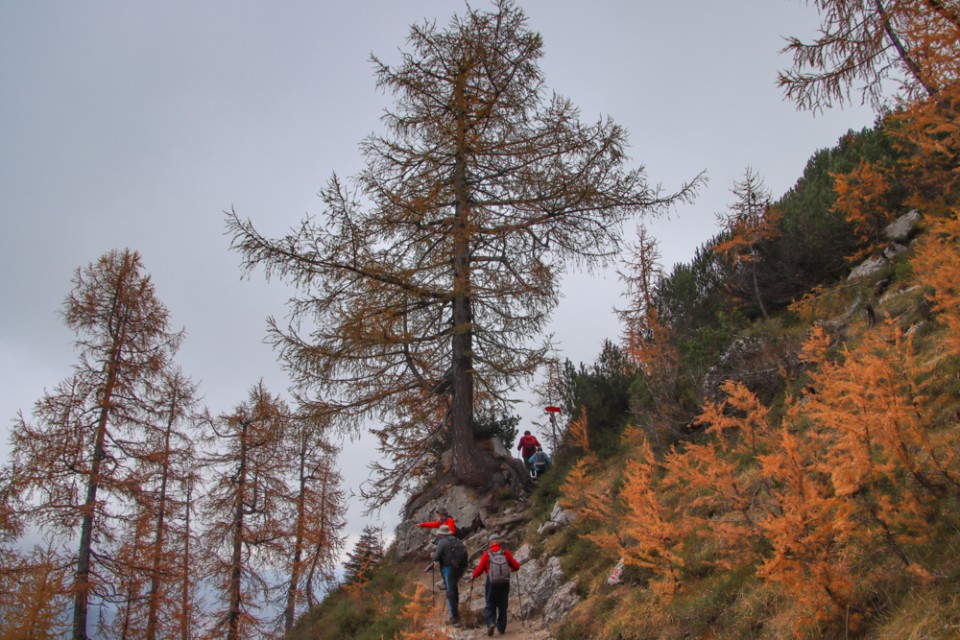 2022_10_12 Slemenova špica ( 1911 m ) - foto povečava