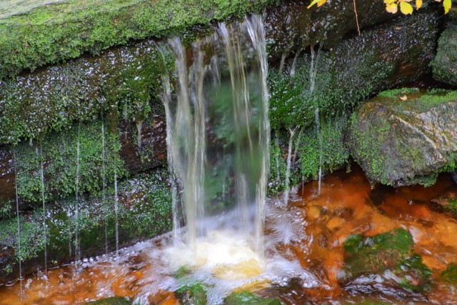 2022_10_26 Črno jezero - Trije Kralji - foto