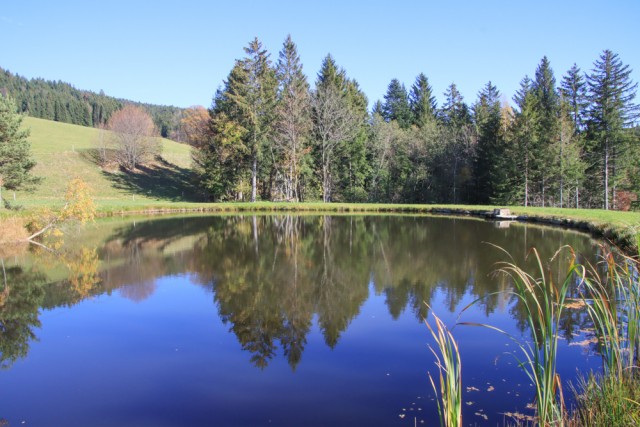 2022_10_26 Črno jezero - Trije Kralji - foto