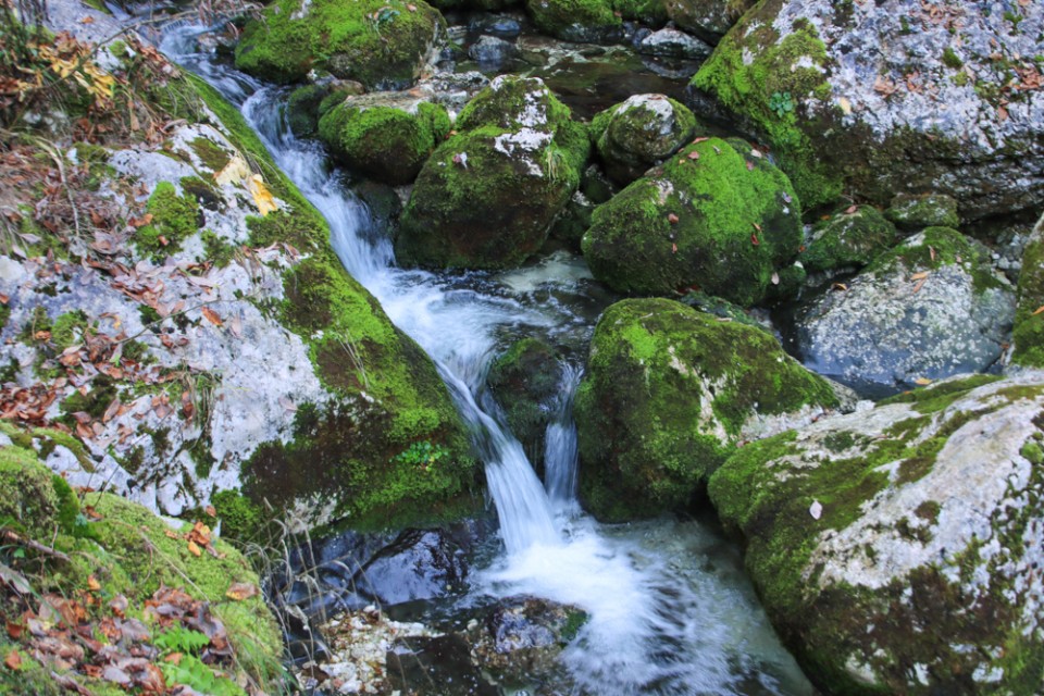 2022_10_30 Čisti vrh in Velika Tičarica - foto povečava