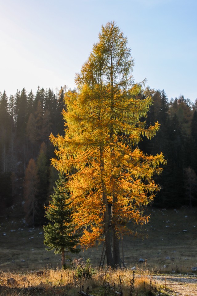 2022_10_30 Čisti vrh in Velika Tičarica - foto povečava