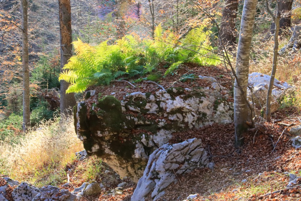 2022_10_30 Čisti vrh in Velika Tičarica - foto povečava