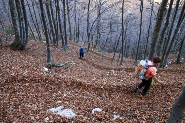 2022_10_31 Zajavor ( 1815 m )  - foto