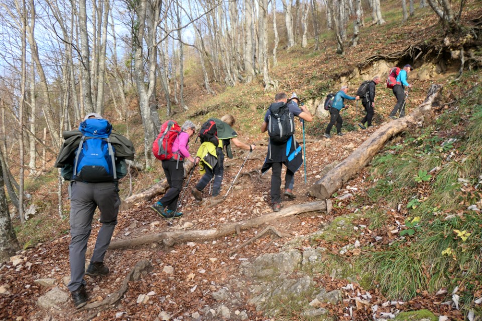 2022_11_08 Lisca iz Loke pri Z/M - foto povečava