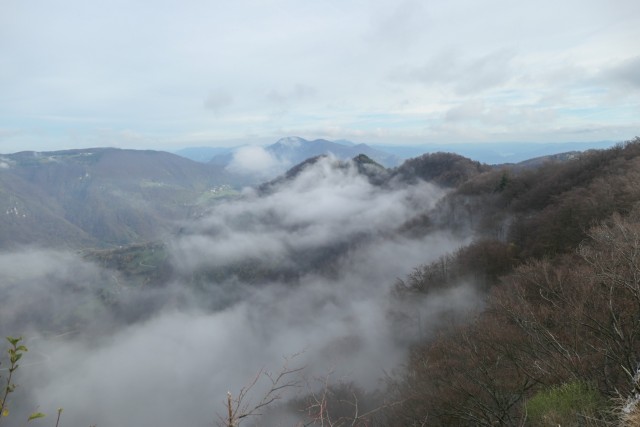 2022_11_11 Roglja in Plašatka - foto