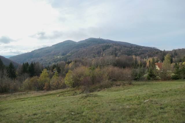 2022_11_11 Roglja in Plašatka - foto