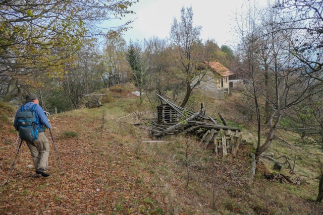 2022_11_11 Roglja in Plašatka - foto
