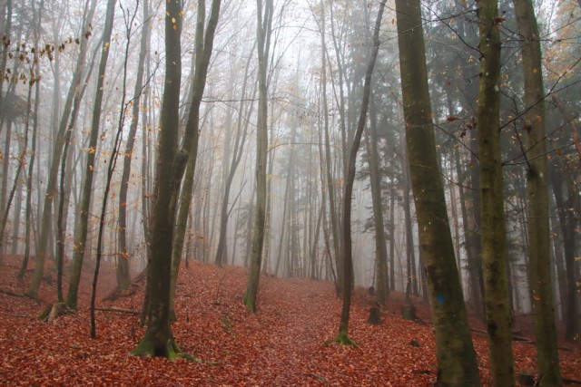 2022_11_19 Mengeška koča na Gobavici - foto
