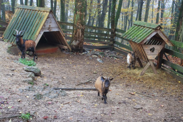 2022_11_19 Mengeška koča na Gobavici - foto