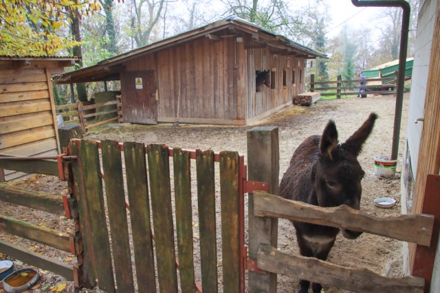 2022_11_19 Mengeška koča na Gobavici - foto