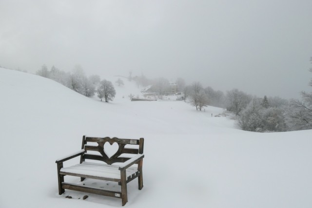 2022_11_23 Lisca - foto