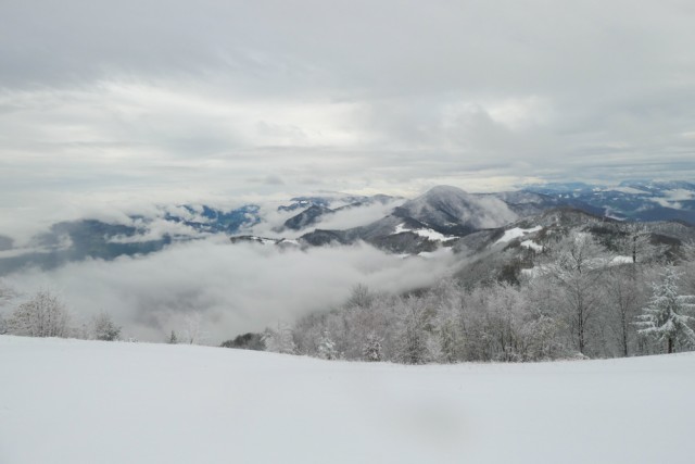 2022_11_23 Lisca - foto