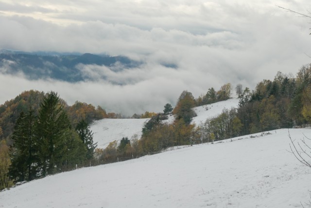 2022_11_23 Lisca - foto