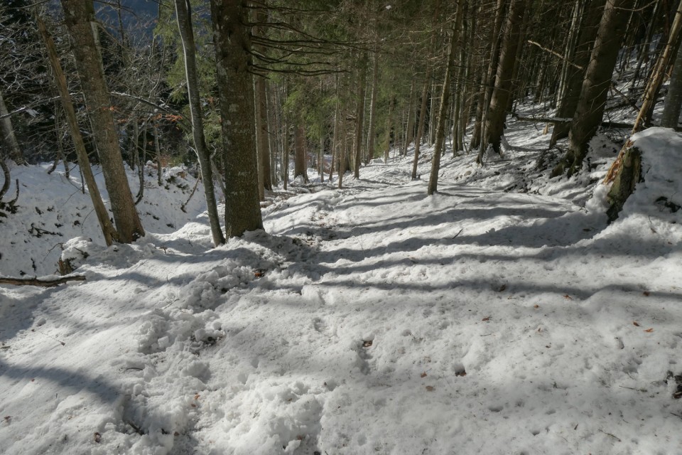 2022_11_26 Bela peč ( 1583 m ) - foto povečava