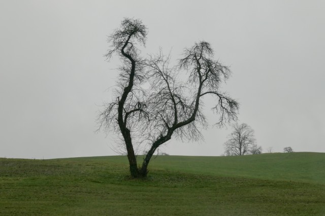 2022_12_04 Zasavska  Sveta Gora ( 852 m ) - foto