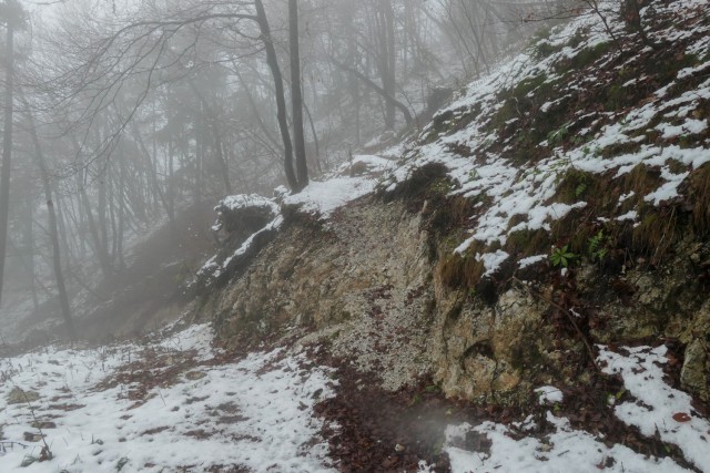 2022_12_04 Zasavska  Sveta Gora ( 852 m ) - foto