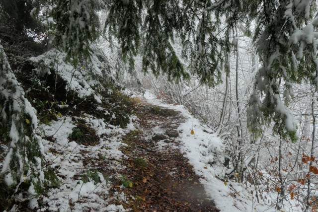 2022_12_04 Zasavska  Sveta Gora ( 852 m ) - foto