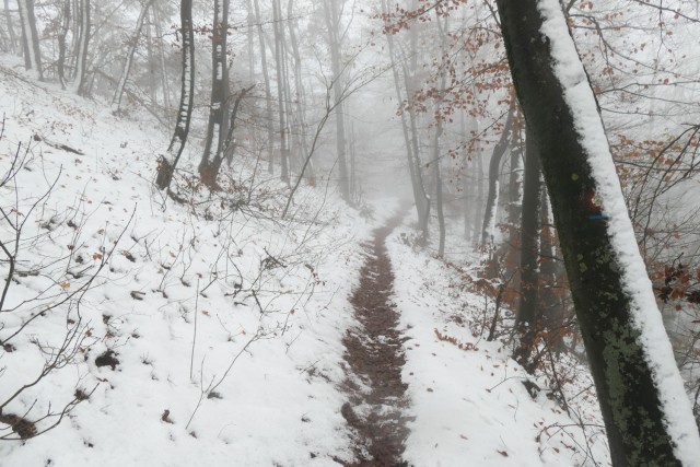 2022_12_04 Zasavska  Sveta Gora ( 852 m ) - foto
