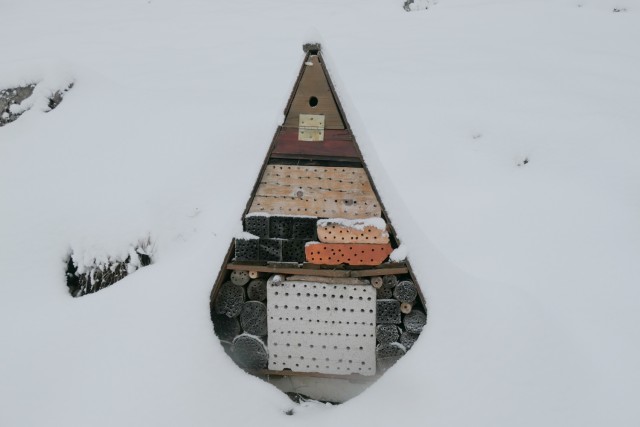 2022_12_11 Kum ( 1220 m ) - foto