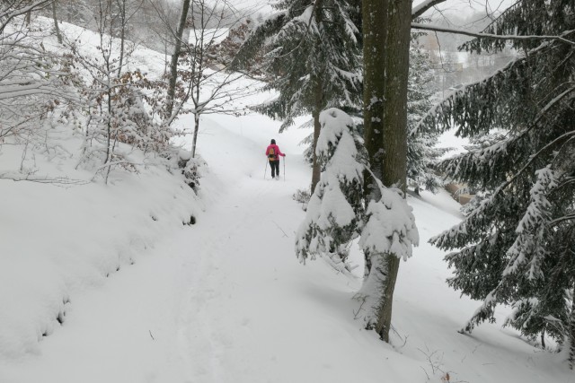 2022_12_11 Kum ( 1220 m ) - foto
