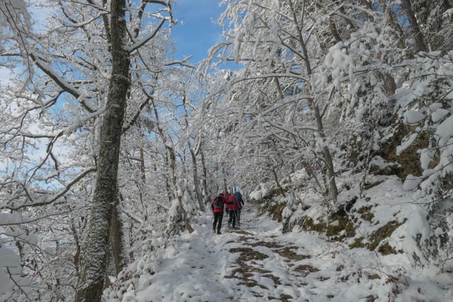 2022_12_13 Šmohor - foto