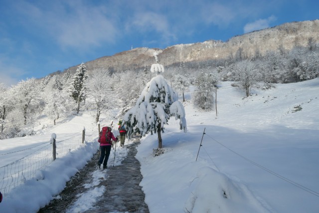 2022_12_13 Šmohor - foto