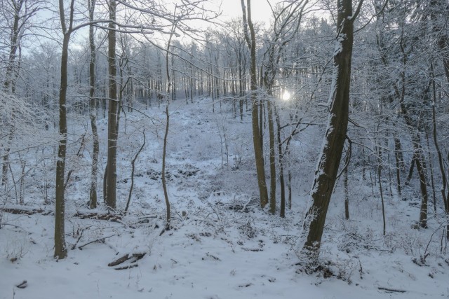 2022_12_20 Čelovnik in Lovrenc - foto