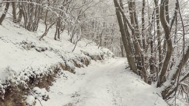 2022_12_20 Čelovnik in Lovrenc - foto